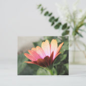 Rosa Blume Postkarte (Stehend Vorderseite)