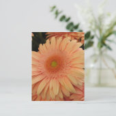 Rosa Blume Postkarte (Stehend Vorderseite)