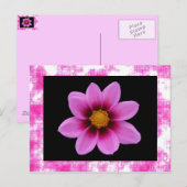 Rosa Blume Postkarte (Vorne/Hinten)