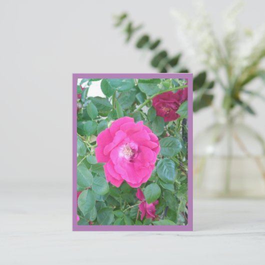 Rosa Blume Postkarte (Stehend Vorderseite)
