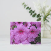 Rosa Blume Postkarte (Stehend Vorderseite)
