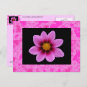 Rosa Blume Postkarte (Vorne/Hinten)