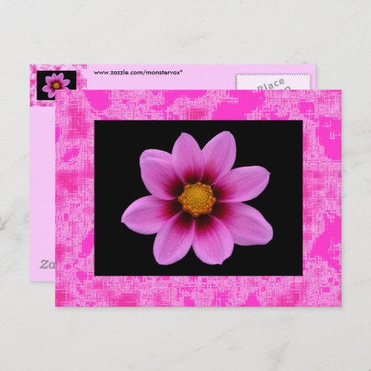 Rosa Blume Postkarte (Vorne/Hinten)