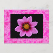 Rosa Blume Postkarte (Vorderseite)