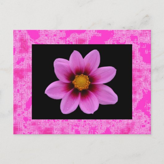 Rosa Blume Postkarte (Vorderseite)