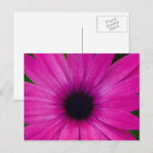 rosa Blume Postkarte (Vorne/Hinten)