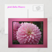 Rosa Blume Postkarte (Vorne/Hinten)