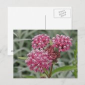 Rosa Blume Postkarte (Vorne/Hinten)