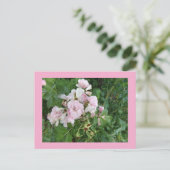 Rosa Blume Postkarte (Stehend Vorderseite)