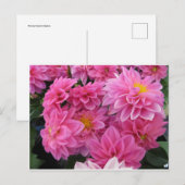 Rosa Blume Postkarte (Vorne/Hinten)