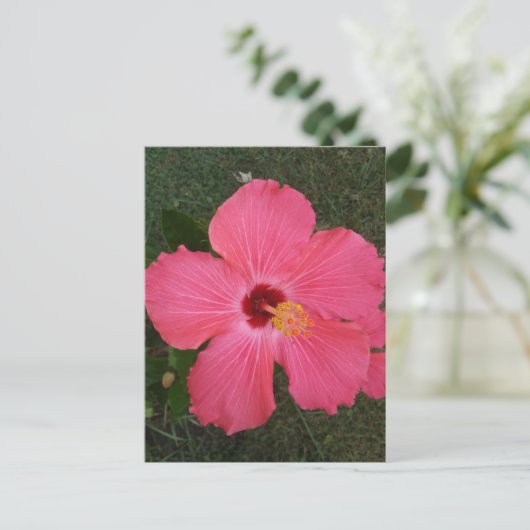 Rosa Blume Postkarte (Stehend Vorderseite)