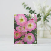 Rosa Blume Postkarte (Stehend Vorderseite)