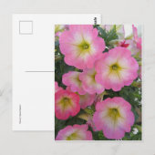 Rosa Blume Postkarte (Vorne/Hinten)
