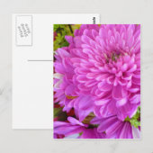 Rosa Blume Power Postkarte (Vorne/Hinten)