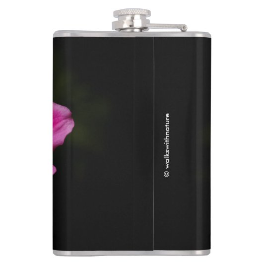 Rosa Blume "Prinz Heinrich" Flachmann (Rückseite)