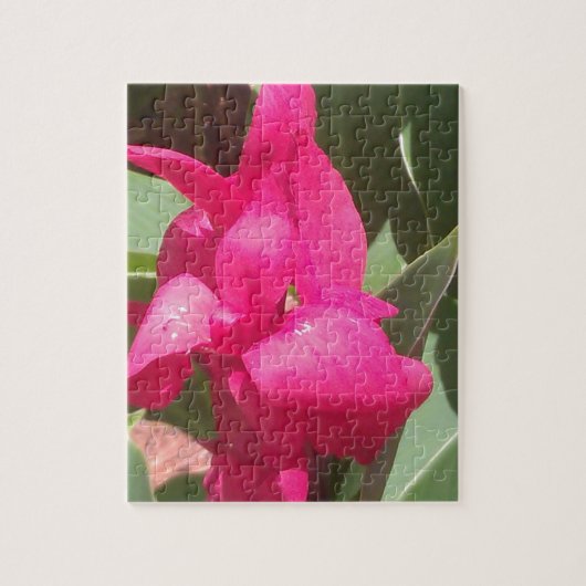 Rosa Blume Puzzle (Vertikal)
