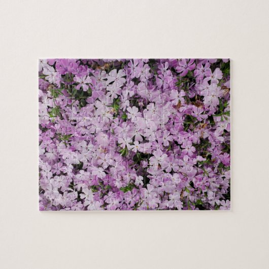 Rosa Blume Puzzle (Horizontal)