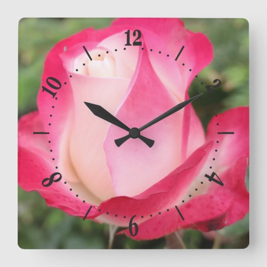 Rosa Blume quadratische Wanduhr (Vorderseite)