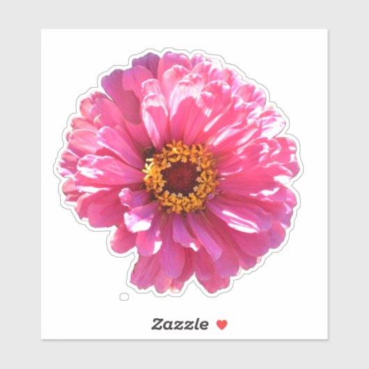 Rosa Blume Retrosa Blütenpinsel Pink Daisy Sonnenb Aufkleber (Blatt)