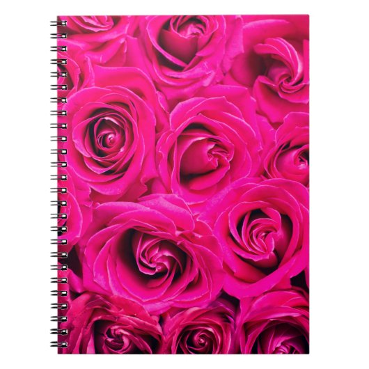 Rosa Blume Rose Hintergrund Notizblock (Vorderseite)