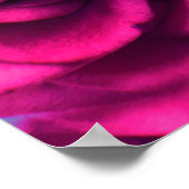 Rosa Blume Rose Hintergrund Poster (Ecke)