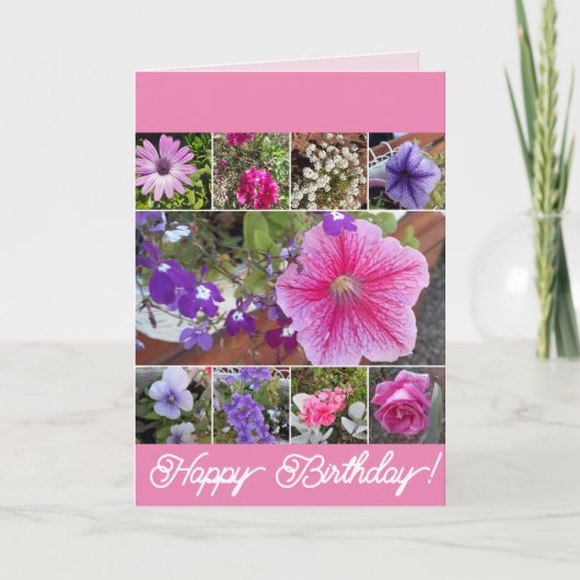 Rosa Blume Rose Petunia Daisy Birthday Karte (Vorderseite)