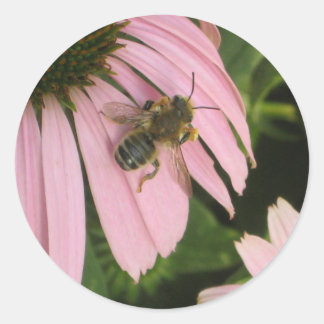 Rosa Blume Runder Aufkleber