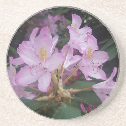 Rosa Blume Sandstein Untersetzer (Vorne)