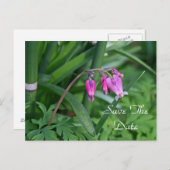 Rosa Blume Save the Date Postkarte (Vorne/Hinten)