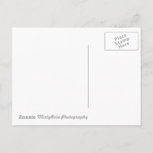 Rosa Blume Save the Date Postkarte (Rückseite)