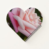 Rosa Blume Schöne Gartenanlage Florenz Notizblock (Rückseite)