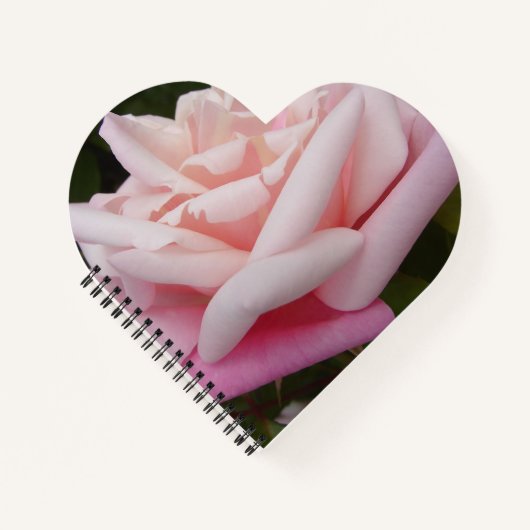 Rosa Blume Schöner Garten Blumengarten Nicht Notizblock (Vorderseite)