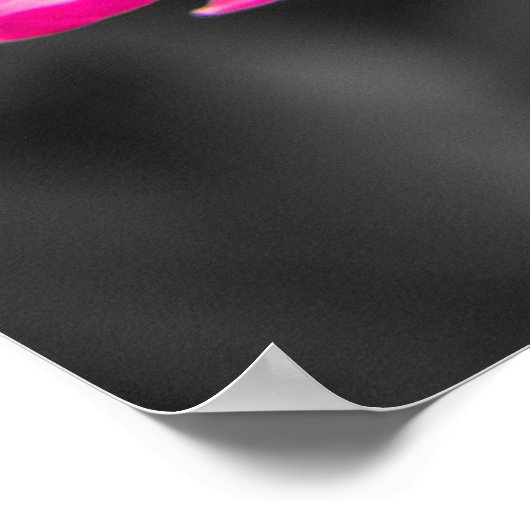 Rosa Blume Schwarz-weiß Monochrome Poster (Ecke)