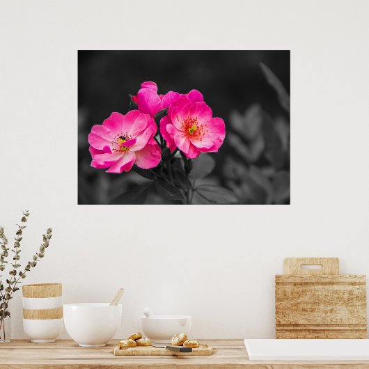 Rosa Blume Schwarz-weiß Monochrome Poster (Küche)