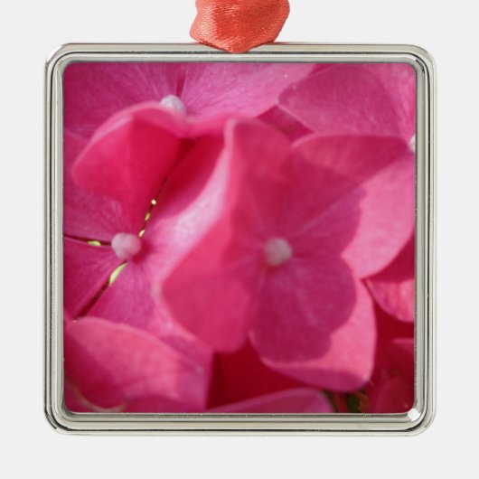 rosa Blume Silbernes Ornament (Vorne)