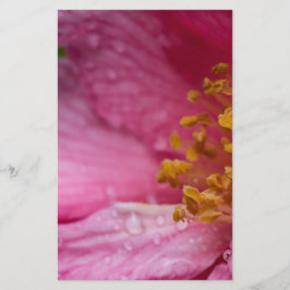 Rosa Blume Stamens Briefpapier