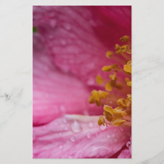 Rosa Blume Stamens Briefpapier (Vorderseite)