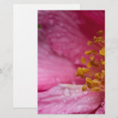 Rosa Blume Stamens Briefpapier (Vorne/Hinten)