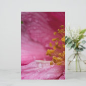 Rosa Blume Stamens Briefpapier (Stehend Vorderseite)