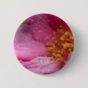 Rosa Blume Stamens Button