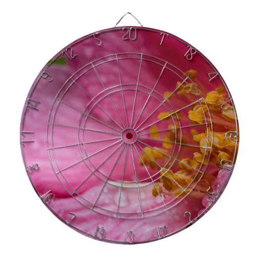 Rosa Blume Stamens Dartscheibe (vorne)