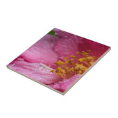 Rosa Blume Stamens Fliese (Seite)