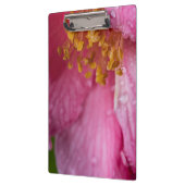 Rosa Blume Stamens Klemmbrett (Links)