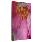 Rosa Blume Stamens Klemmbrett (Rechts)