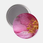 Rosa Blume Stamens Magnet (Vorderseite/Rückseite)
