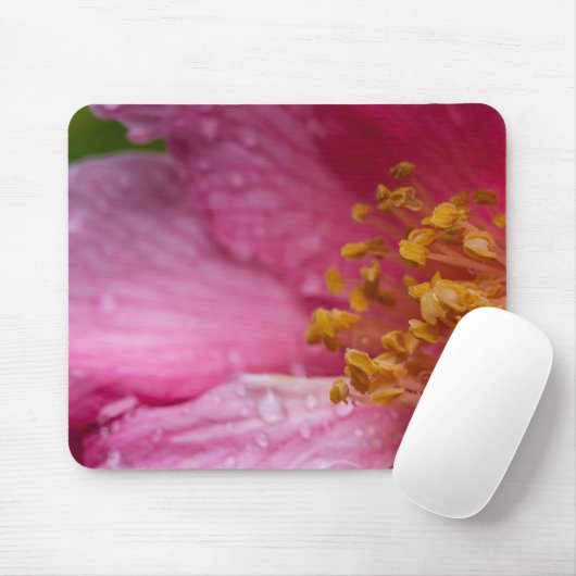 Rosa Blume Stamens Mousepad (Mit Mouse)