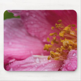 Rosa Blume Stamens Mousepad
