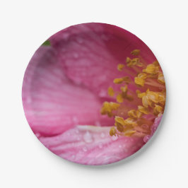 Rosa Blume Stamens Pappteller