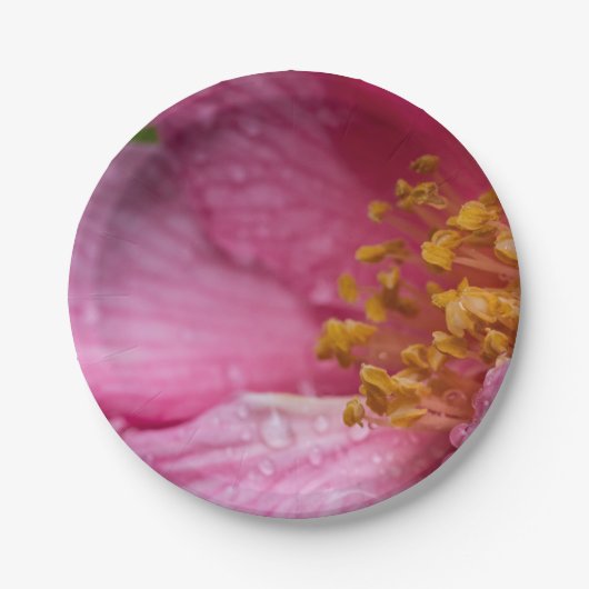 Rosa Blume Stamens Pappteller (Vorderseite)