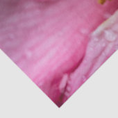 Rosa Blume Stamens Seidenpapier (Ausschnitt)